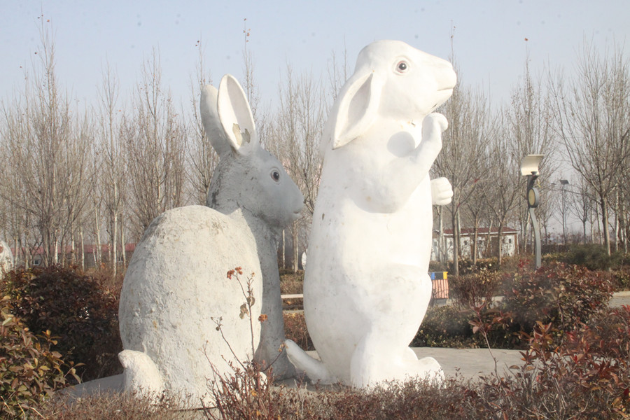 新春走基层丨家中养兔 不愁致富——看“兔”飞猛进的小高村兔产业